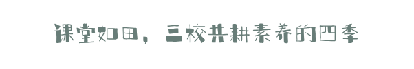 微信图片_20250609180323.png