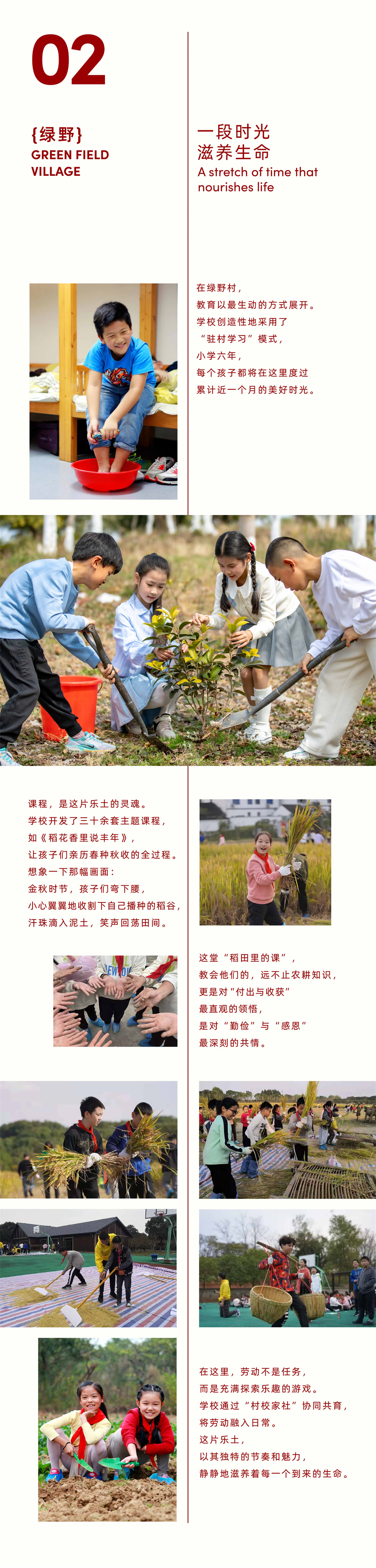 绿野篇-05.jpg