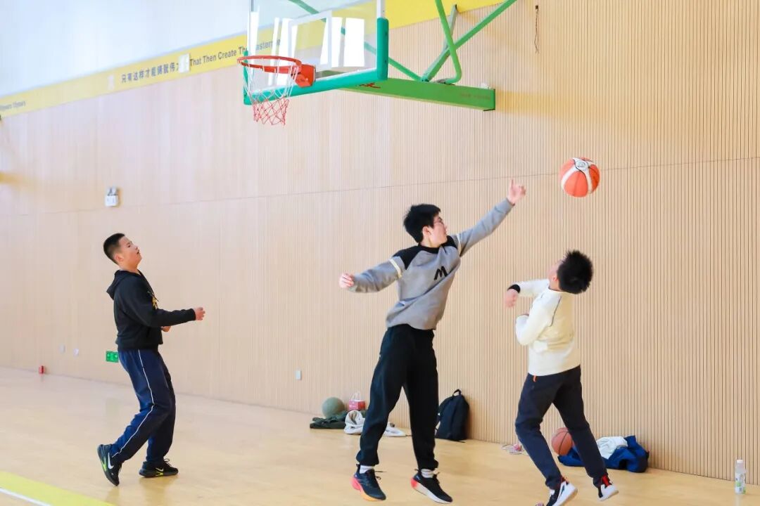 1764824295828117.jpg 73.jpg