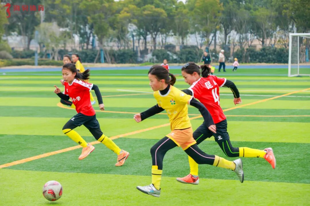 1781516503225117.jpg 640 (17).jpg